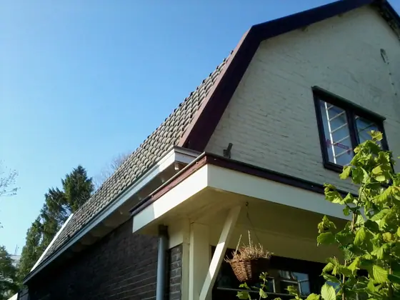 Vervangen goten en overstekken Beilen door Klusbedrijf Wajer